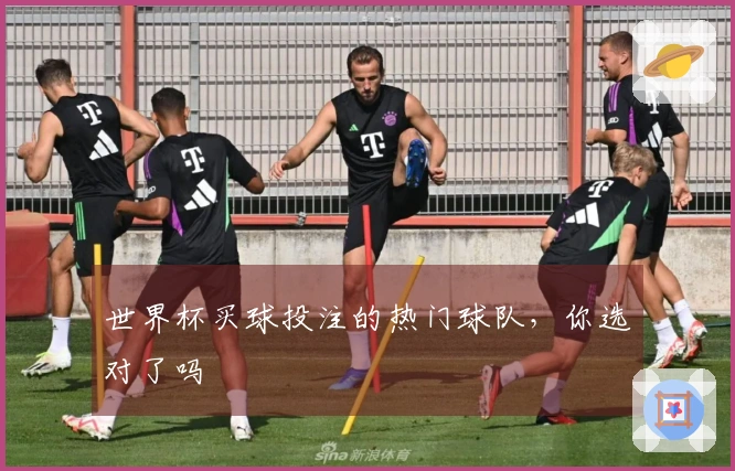 世界杯买球投注的热门球队，你选对了吗