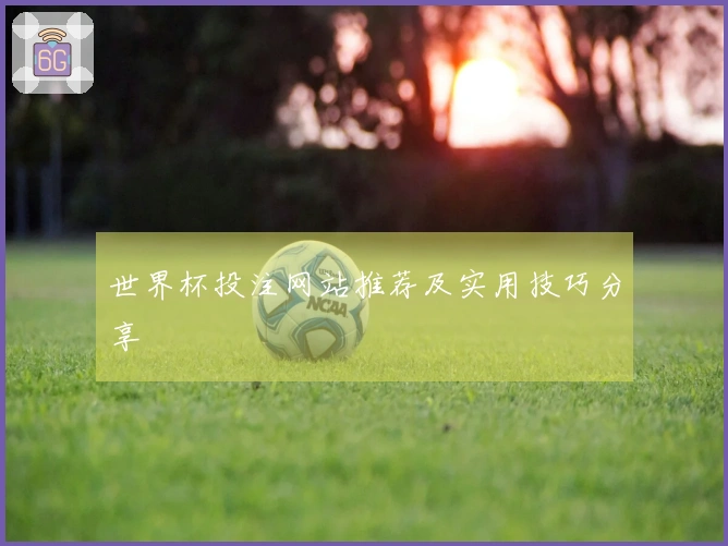 世界杯投注网站推荐及实用技巧分享