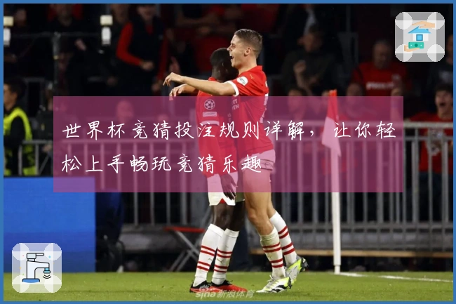 世界杯竞猜投注规则详解，让你轻松上手畅玩竞猜乐趣