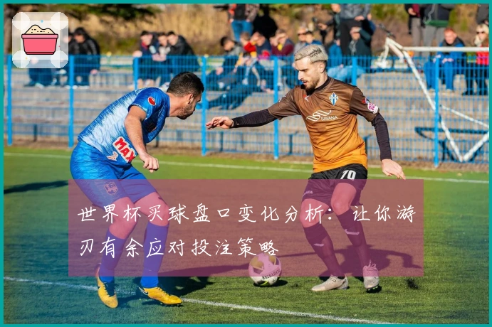 世界杯买球盘口变化分析：让你游刃有余应对投注策略