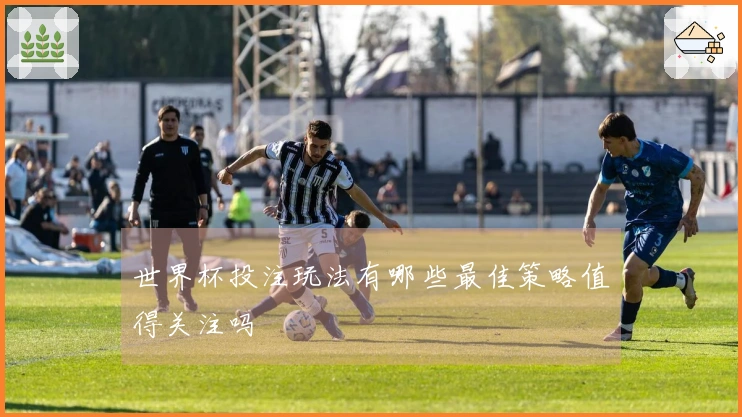 世界杯投注玩法有哪些最佳策略值得关注吗