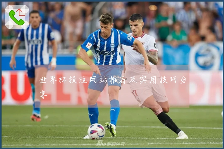 世界杯投注网站推荐及实用技巧分享